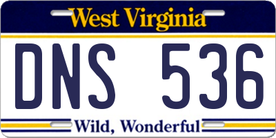 WV license plate DNS536