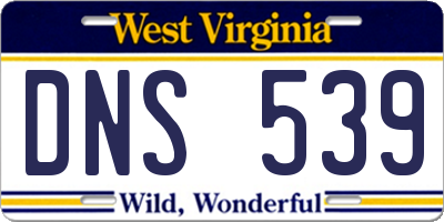 WV license plate DNS539