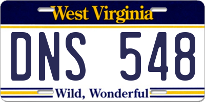 WV license plate DNS548