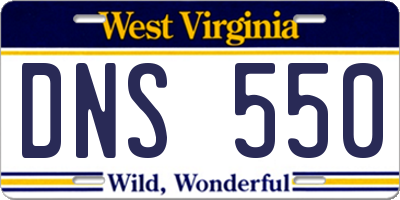 WV license plate DNS550