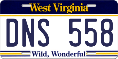 WV license plate DNS558