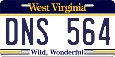 WV license plate DNS564