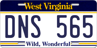 WV license plate DNS565