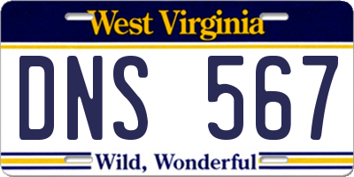 WV license plate DNS567