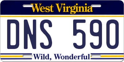 WV license plate DNS590