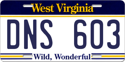 WV license plate DNS603