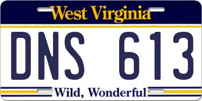 WV license plate DNS613