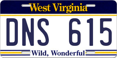 WV license plate DNS615