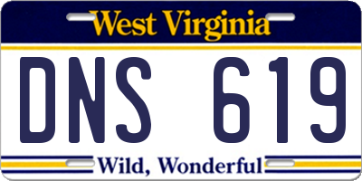 WV license plate DNS619