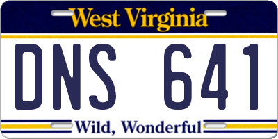WV license plate DNS641