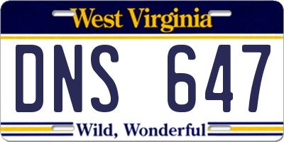 WV license plate DNS647