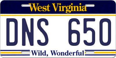 WV license plate DNS650