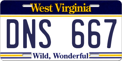 WV license plate DNS667