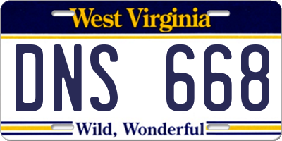 WV license plate DNS668