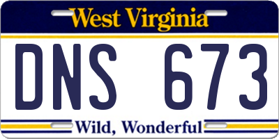 WV license plate DNS673