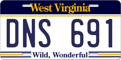 WV license plate DNS691