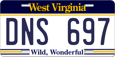 WV license plate DNS697