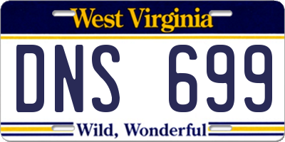 WV license plate DNS699