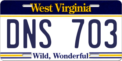 WV license plate DNS703