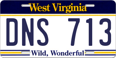 WV license plate DNS713