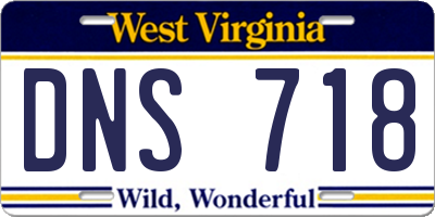WV license plate DNS718