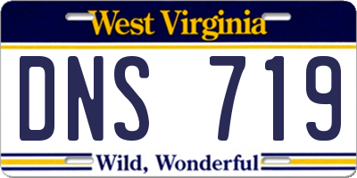 WV license plate DNS719