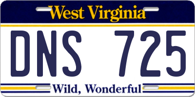 WV license plate DNS725