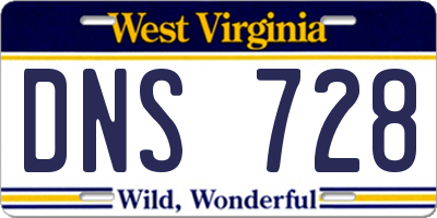 WV license plate DNS728