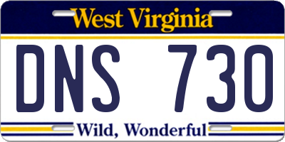WV license plate DNS730