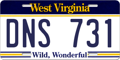 WV license plate DNS731