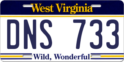 WV license plate DNS733