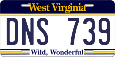 WV license plate DNS739