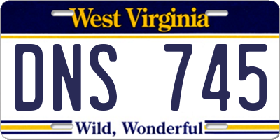 WV license plate DNS745