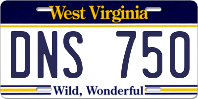 WV license plate DNS750