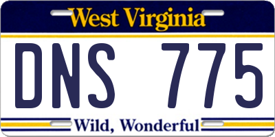 WV license plate DNS775