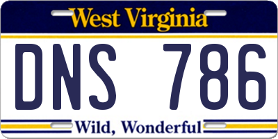 WV license plate DNS786