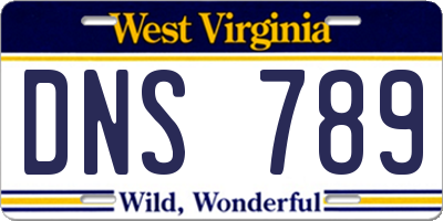 WV license plate DNS789