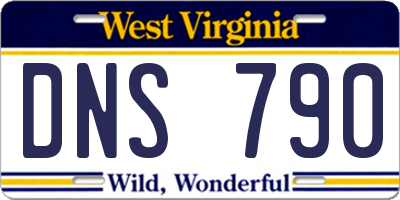 WV license plate DNS790