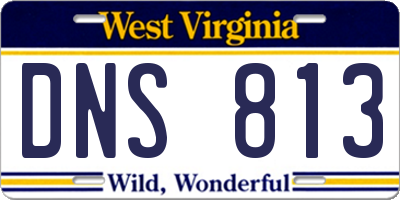 WV license plate DNS813