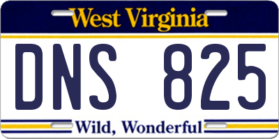 WV license plate DNS825