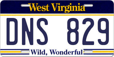WV license plate DNS829