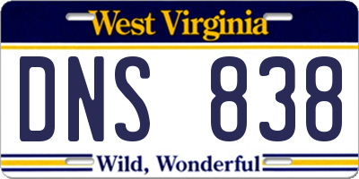 WV license plate DNS838