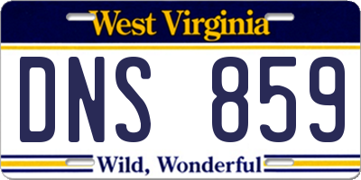WV license plate DNS859