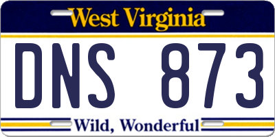 WV license plate DNS873