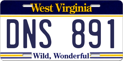 WV license plate DNS891