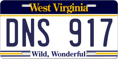 WV license plate DNS917
