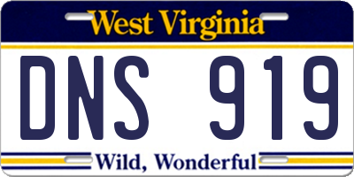WV license plate DNS919