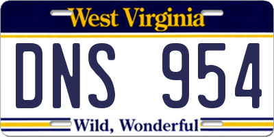 WV license plate DNS954