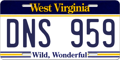 WV license plate DNS959