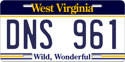 WV license plate DNS961